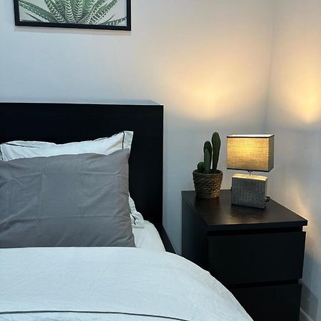 Nouveau Studio Dans Le Centre De Bruxelles Luaran gambar